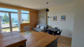 Bel appartement 45m2 rez de chaussée plein sud